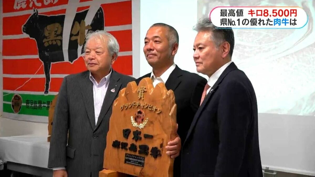 最高値は1キロ8500円 鹿児島県肉牛枝肉共進会開催 南九州市 | 鹿児島の