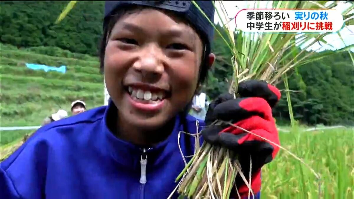 実りの秋…中学生が新米の収穫に挑戦 鹿児島・出水市正現地区の棚田