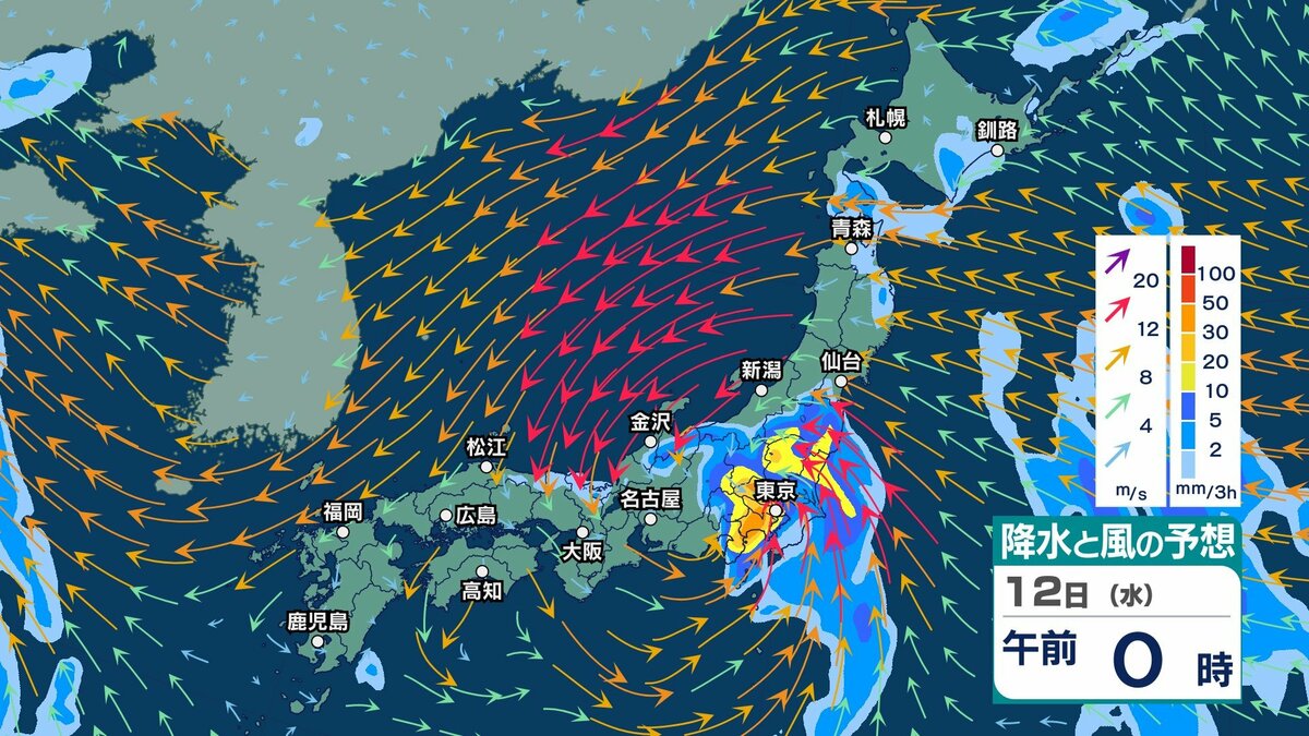 サムネイル_【 今後の雨 】10日(月)は急な強い雨や雷雨に注意 11日(火・祝)は台風15号の影響で北日本・東日本で大雨のおそれ【15日(土)午後3時までの雨風シミュレーション・10日正午更新】