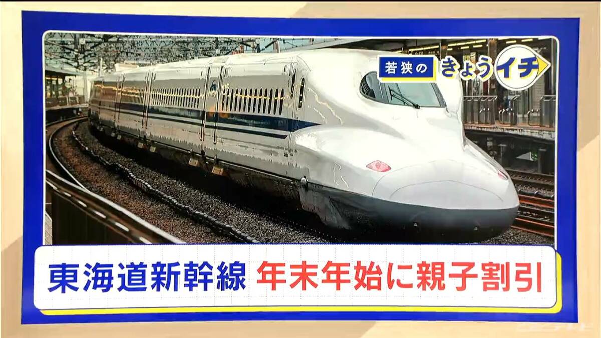 年末年始の関東旅行がお得に！ 新幹線“親子割引”を使えば約3割安くなる 帰省以外にも…｢年末年始をまたがないコンパクト旅行｣がおすすめ