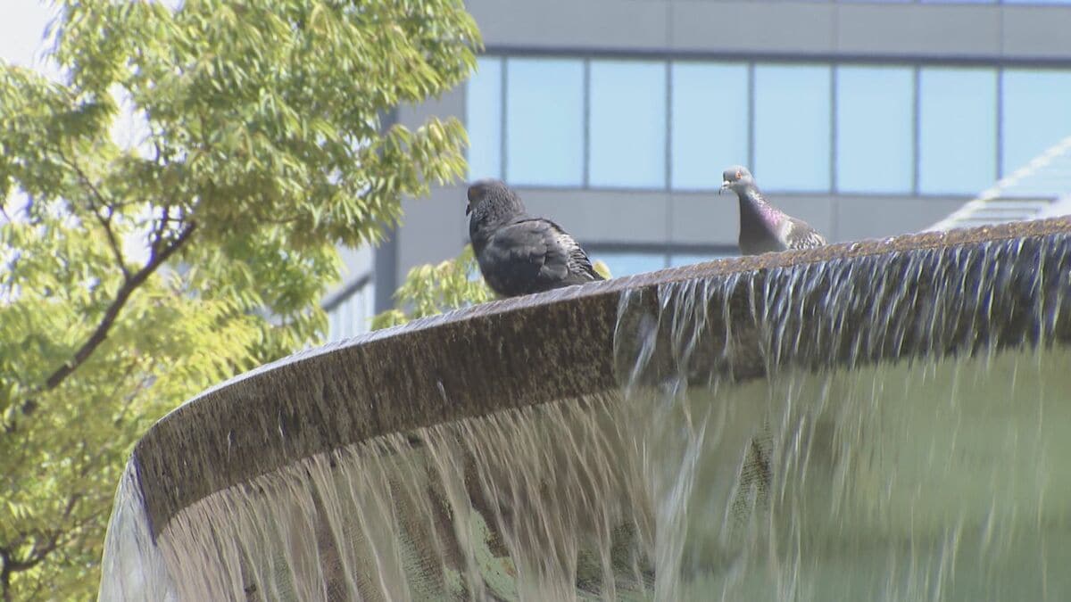 名古屋38℃予想 各地で危険な暑さに 愛知・三重で熱中症警戒アラート 