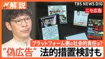 “ニセ広告”掲載側の責任は?有名人をかたる投資詐欺問題 被害者らが近く集団訴訟へ【Nスタ解説】|TBS NEWS DIG