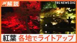 「アメージング!」外国人観光客も感嘆の声 今年は「ライトアップ」で紅葉を楽しむ!【Nスタ解説】|TBS NEWS DIG