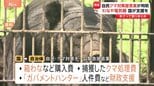 【独自】クマ被害　わなや電気柵など国が財政支援を　自民党の緊急提言案が判明|TBS NEWS DIG