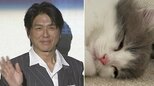 【 ねこ 】高橋克典さん　愛猫ラヴィくんのお昼寝画像を公開「猫の肉球はコアラみたいなんだね（笑）」|TBS NEWS DIG