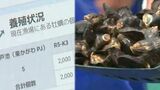 カキ養殖に「インターネットの技術使う」初めてのチャレンジ IoTでノウハウを補完 実証実験経て新たな産業に【香川】|TBS NEWS DIG