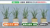 国内初認定！家庭ゴミを高温で溶かして肥料に　清掃工場で出た「溶融スラグ」（静岡県）|TBS NEWS DIG