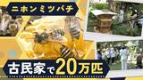 「ここなら良い蜜」工事関係者にすすめられ20万匹、都市部で希少種「ニホンミツバチ」を養蜂 | 福岡のニュース|RKB NEWS|RKB毎日放送