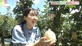 ナシ食べ比べにナシづくしパフェ･･･ナシを満喫！美食ツアーを体験|TBS NEWS DIG