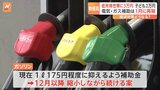 ガソリン補助金“延長”めぐり議論難航か 政府の経済対策案「今年12月以降縮小しながら続ける」に国民民主党・玉木代表「代替措置のない縮小は受け入れられない」|TBS NEWS DIG