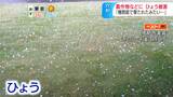 「機関銃で撃たれたみたい」ひょうで農作物や住宅にも被害　長野・伊那市|TBS NEWS DIG