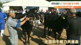 21頭の準備万端 大分県勢2連覇の期待高まる 「和牛オリンピック」6日開幕 | 大分のニュース|OBS NEWS|大分放送
