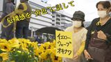 『危機感』を黄色に託して 広がる市民発の平和運動“イエローウェーブ”とは | 沖縄のニュース|RBC 琉球放送