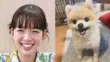 【佐藤栞里】愛犬“はな”にメロメロ「かなりの確率でおもしろ写真になりますがそれもわたし譲りかもしれません」|TBS NEWS DIG