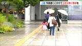 雨続く 新潟県の上越では23日夜遅くまで土砂災害に警戒を|TBS NEWS DIG