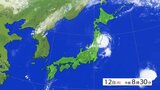 【台風情報】【速報】台風5号が岩手・大船渡市付近に上陸 東北地方太平洋側への上陸は3例目 |TBS NEWS DIG