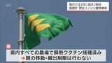 高原町で見つかった死んだ野生のイノシシ 「豚熱」への感染確認 | MRTニュース | MRT宮崎放送