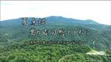 夏点描 豊かな自然とともに…栗駒山麓に抱かれたランプの宿 | 宮城のニュース│tbc NEWS│tbc東北放送