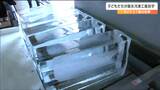 「氷を削ったり切ったりするところが楽しかった」魚市場でマイナス7度の氷の世界を体験 宮城・石巻市|TBS NEWS DIG