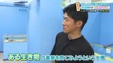「サメ硬かった」おもしろ不思議水族館でさまざまな“体験” 愛媛・いよてつ髙島屋 | 愛媛のニュース - Nスタえひめ|あいテレビは6チャンネル