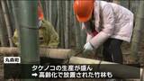 「整備されて中に光が入ってくれたらうれしい」中央大生が放置された竹林の手入れ　宮城・丸森町　|　宮城のニュース│tbc NEWS│tbc東北放送