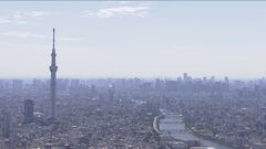 円安は「経営にマイナス」企業の4割以上| TBS CROSS DIG with Bloomberg