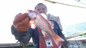 高級魚“ノドグロ”漁に乗船取材…夫婦船は「金持ちなるなぁ!」と思いきや…波乱万丈の漁に密着|TBS NEWS DIG