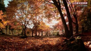 里山の風景・茅葺き屋根と紅葉【山口の紅葉2022】　|　山口のニュース・天気・防災｜tys NEWS｜ｔｙｓテレビ山口