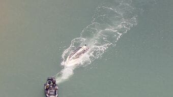 【続報】沖縄・辺野古沖の転覆事故2人の死亡を確認|TBS NEWS DIG