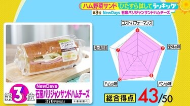 ひたすら試してランキング『ハム野菜サンド』 1位は「お歳暮に