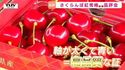 食品 紅秀峰 トリプル