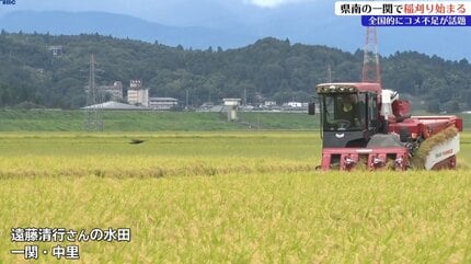 全国的にコメ不足の中、岩手県南で稲刈り始まる 平年に比べて岩手県内