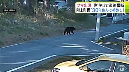 のそのそと…防犯カメラが捉えた体長約1.5mの太ったクマ 約40秒後には