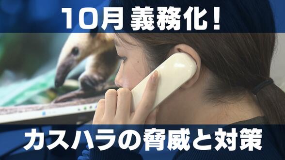 「頭悪いんか」「バカ」タクシー車内で暴言…どこからがカスハラ? 10月から企業にカスハラ対策が義務化 長崎でも深刻な事件 | 長崎のニュース | 天気 | NBC長崎放送
