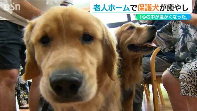 「うれしくて 心の中があたたかくなりました」さまざまな事情から保護された犬たちが住宅型老人ホームを訪問 新潟市|TBS NEWS DIG