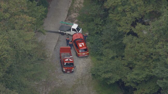 「登山中に刺された」児童など19人がハチに刺される　児童15人、教員など大人4人全員が病院に搬送　命に別状はなしも自力で歩けない児童も　広島|TBS NEWS DIG