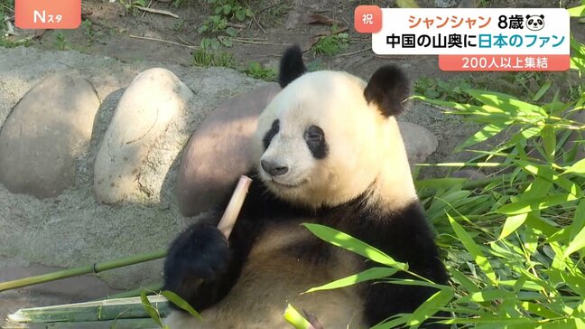 「シャンに会うために頑張って働いた」中国の山奥に日本人の行列　シャンシャン8歳の誕生日を祝福|TBS NEWS DIG