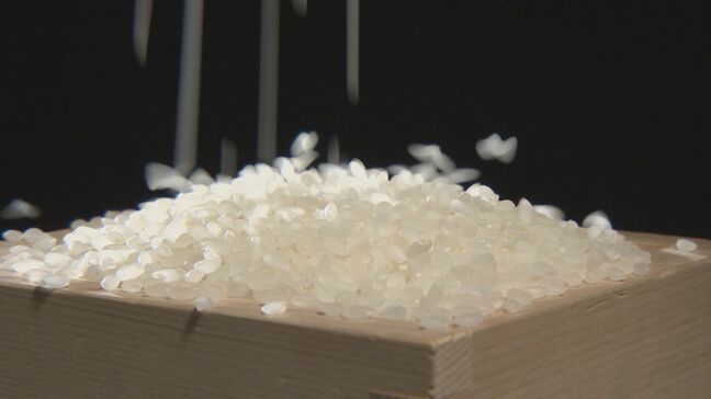 “自分たちが作ったコメが売れなくなってしまう” 田植えシーズンに農家の不安 コメ不足で輸入米が増えたら･･･ 愛知・安城市|TBS NEWS DIG