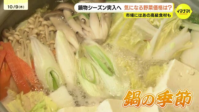 ｢真夏日｣の残暑が“鍋の季節”を直撃　県産マツタケは13万円/キロ　｢11月にどこまで残量があるか｣　今後ハクサイの価格不透明は産地が変わるから？　広島市中央卸売市場　　|TBS NEWS DIG