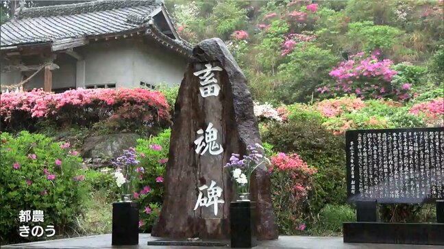 約30万頭の牛豚が殺処分「口蹄疫」から15年「忘れているという人も多くなってきている」関係者の思いとクリーンな産地をPRする取り組み|TBS NEWS DIG