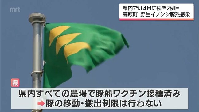 高原町で見つかった死んだ野生のイノシシ　「豚熱」への感染確認|TBS NEWS DIG