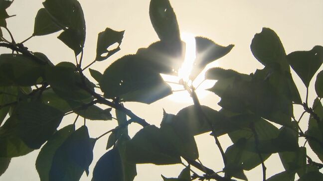 ゴルフの休憩中に70代の男性が嘔吐 70代の男性が屋外での作業中、ふらつきの症状が出て倒れる 熱中症疑いの救急搬送相次ぐ 鳥取県 ※午後3時半現在|TBS NEWS DIG