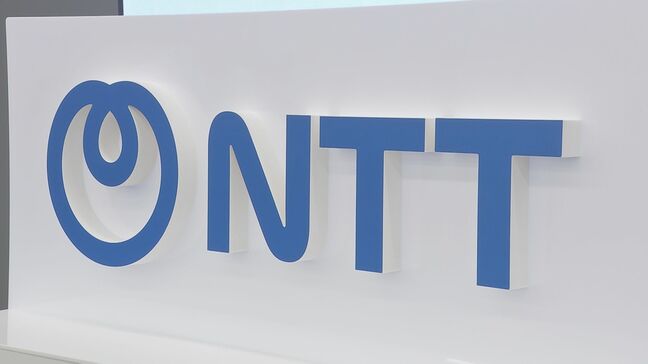 NTT 光ファイバーによる「道路陥没リスク」の早期発見に向けた実証を発表 老朽化インフラ対策に期待|TBS NEWS DIG