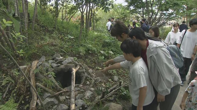 「めちゃくちゃワクワクします」アクアマリンふくしまに新施設「わくわく・はじまりの森」夏休み前にオープン　福島・いわき市|TBS NEWS DIG