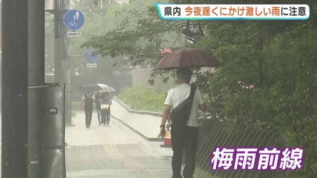 雷を伴った激しい雨に注意　広島県で大雨に|TBS NEWS DIG