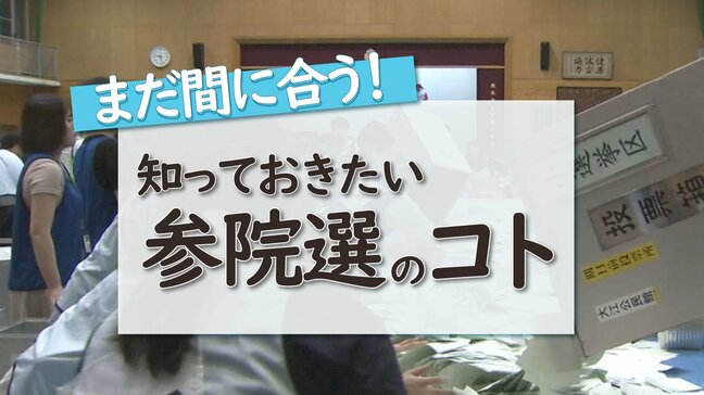 まだ間に合う！知っておきたい「参議院選挙のコト」【選挙当日のSNS・当確って… ・開票結果書き替えできる？】|TBS NEWS DIG