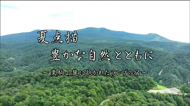 夏点描　豊かな自然とともに…栗駒山麓に抱かれたランプの宿|TBS NEWS DIG