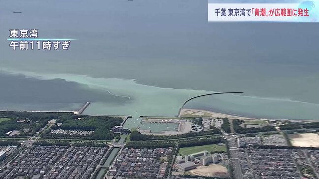 海が変色？東京湾で「青潮」発生　台風7号の影響か|TBS NEWS DIG