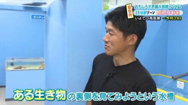 「サメ硬かった」おもしろ不思議水族館でさまざまな“体験” 愛媛・いよてつ髙島屋|TBS NEWS DIG