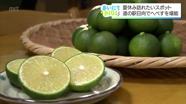 爽やか柑橘「へべす」の魅力満載！「道の駅日向」の夏|TBS NEWS DIG